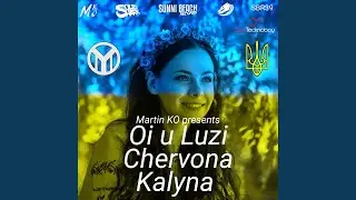 Oi u Luzi Chervona Kalyna (Floorthriller Remix)