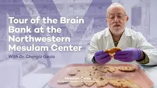 Tour of the Brain Bank at the Northwestern University Mesulam Center