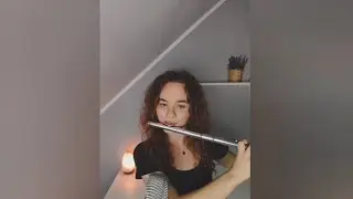 The Lion King - This Land (flute cover)