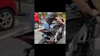 Which One is The Best Sounding Bike? #bikelover #biker #exhaust #exhaustsound #bikesound #shorts