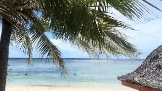 Samoa matalasi 01