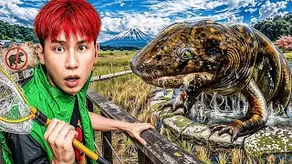 HI-END l สำรวจสัตว์แปลก 