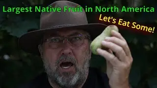 Eating PawPaws / Home Grown at PawPaw Mountain