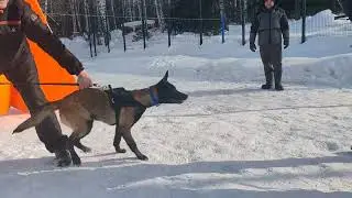 Джокер из Мира Енали, 5 месяцев