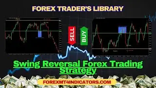 Swing Reversal Forex Trading Strategy