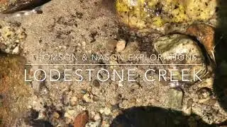 Lodestone Creek THOMSON & NASON EXPLORATIONS