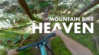 Yeah this place is the best. Mountain bike riding in Powell River.