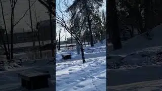 Nice pleasant walk in a Park Kyiv Ukraine