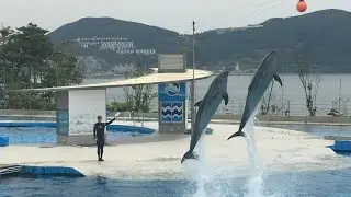 Geoje Sea World 거제씨월드 in Geoje, South Korea