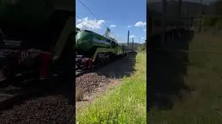 3801 Fassifern Station 15-OCT-2022