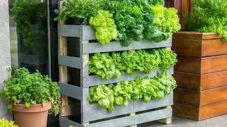 🌻 The Sustainable Sanctuary: Creating a Dream Yard with Recycled Materials