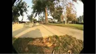 WARCO SKATEBOARDS