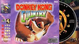 Shoegaze 🎸 Donkey Kong Country 1, 2 & 3 🍌 DISC 1