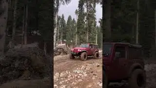 Thar 4&times;4 off-roading #autoverse #shorts