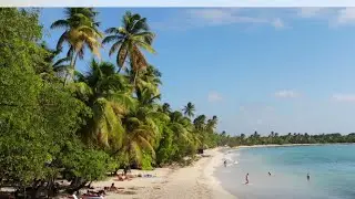 Grande Anse des Salines, (Plage des Salines) Les meilleurs voyages en Martinique 4K