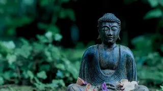 Buddha Mystic Rain - The Rain of The Dharma - Relaxation, Meditation, Study & Sleep Music