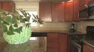 337 N 105th #C, Seattle, WA 98133 | MLS# 488728 | AwesomeNossum