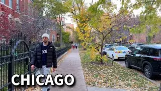 Autumn in Chicago | Wicker Park - Hoyne Avenue | Walking Tour on Tuesday | November 12, 2024 | 4K