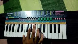 Nagin Music Mix | Rupak Mahata | Casio SA-41