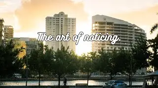 The gift of finding beauty in everyday life