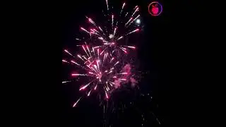 Spectrum 192 Shots XL Aerial Finale Set by Brothers | Red Apple&reg; Fireworks #redapplefireworks
