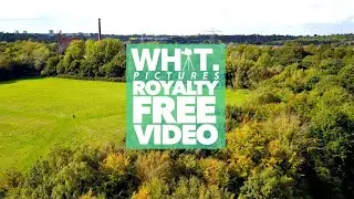 Cinematic Drone Aerial Stock Video [No Copyright/Royalty Free] Trees Nature Field Clip Footage | WSF