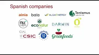 Open Innovation programme from Invest in Spain for EFKO Group