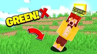 Minecraft but If i Touch GREEN I die! (മലയാളം)