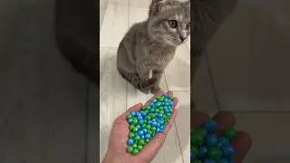 Reverse Cat Beads with Peaceful Feel