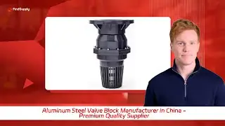 Aluminum Steel Valve Block Manufacturer in China - Premium Quality Supplier