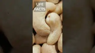 #351 Cashews: The Surprising Poisonous Connection Revealed!