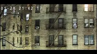 Quality of Life Wakefield Bronx NY #WhitePlainsRoad | Documented 1/28/26