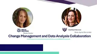 Change Management and Data Analysis service offer