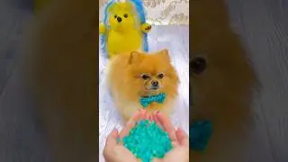 Beads & Puppy ✨🌀🐶 Satisfying Asmr Reverse marbles dog react  #shorts