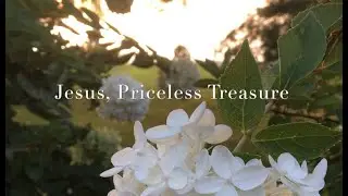 Jesus, Priceless Treasure (Official Lyric Video, Renee Allsbrook Music)