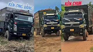 Truck Carrying Glue, Yellow Bee Horn, Extremely Hot Bird Horn