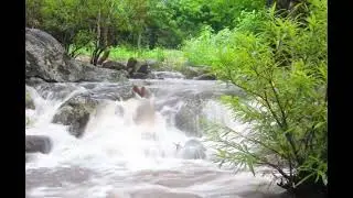 อุทยานแห่งชาติเฉลิมพระเกียรติ ไทยประจัน