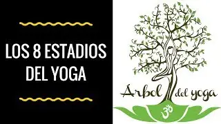 Qu&eacute; son y cu&aacute;les son Los 8 Estadios del Yoga?