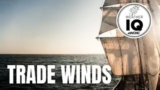 Weather IQ: Пассаты