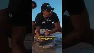 ✅If yall need fishing shorts✅ @KastKing @xpecedrones #fish #fishing #lbsf #sharkfishing