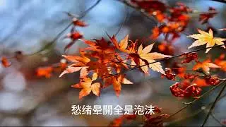 秋風吹起//2025福壽山農場賞楓