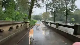 Heavy Rain & Flooding in Central Park (September 29, 2023)
