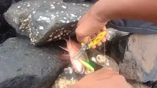 मुंबईत भरपूर वारा आणि पाऊस असताना फिशिंग केली 🎣🎣