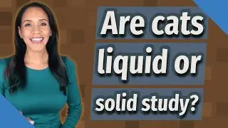 Are cats liquid or solid study?