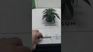 VGrow DWC Upgrade 💧 Big Jake nach 9 Tagen &ndash; Mini Pflanze, Max Progress!