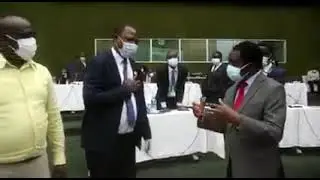 HH TELLS PAUL MOONGA TO TELL MR KAMBWILI THAT TONGAS ARE FOUND IN PF AND TO STOP INSULTING