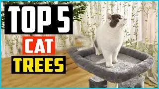 ✅Топ-5 лучших кошачьих деревьев для квартир в 2024 году: обзоры