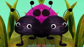 Insect Finger Family | LadyBug Where Are You? Effects/Nursery Rhymes(Colors+VoiceFx 6.6)