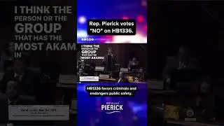 Voting NO to being Soft on Crime 🚔 | Rep. Elijah Pierick