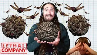 Sind wir schon zu greedy?